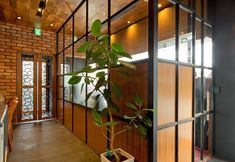 Others 2 GAFU Hostel