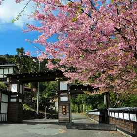 Primary image 1 Yokohama Fujiyoshi Izuten, Ito-shi Hotels