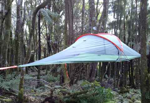 Lain-lain Pupu Rangi Nature Sanctuary - Conservation Area