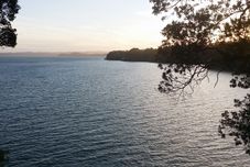 อื่นๆ Auckland Clifftop