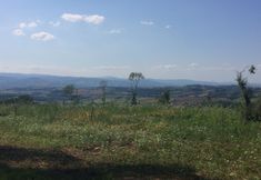 기타 2 Abbazia Ortodossa di San Martino