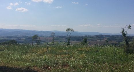 기타 2 Abbazia Ortodossa di San Martino