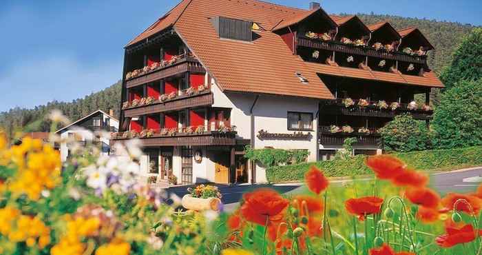 Khác Hotel Schwarzwaldhof