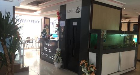 Lain-lain 2 Copenhagen Hotel