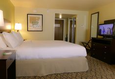 Others 4 Holiday Inn FORT MYERS - DOWNTOWN AREA by IHG, an IHG Hotel