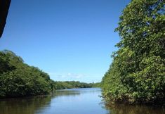 Others 6 Pousada das Acacias