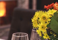 기타 4 Villa Borealis