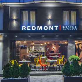 Primary image1雷德蒙特尼桑塔西飯店,埃米爾甘公園飯店