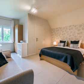 Primary image 1 B&B Vis-à-Vis, Statue of Einstein Hotels