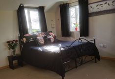 Others 6 Pantysgyfarnog