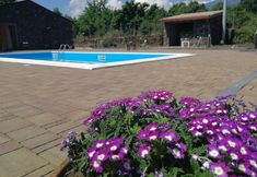 その他 2 Viola nel Parco