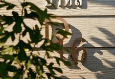 其他 6 Baandara Resort Saraburi