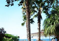 อื่นๆ 7 Cohiba Boutique & Beach