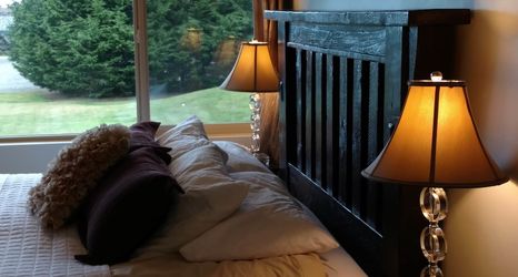 その他 2 GreenHouse Inn by the Bay