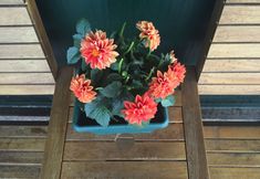 其他 3 Airport Inn Hotel