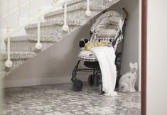 Others 2 Gatto Perso Luxury Apartments