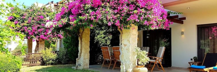 Lainnya Villa Carlos