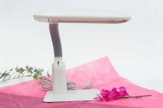 その他 4 Toyoko Inn Kagoshima Chuo Station Higashi