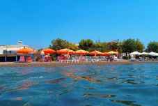 其他 Pansion Akrogiali