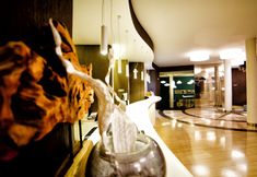 기타 6 Hotel Parque Real