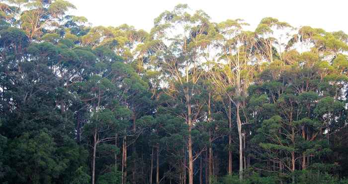 Others Tinglewood Cabins