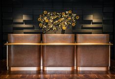 Lainnya 2 The Darcy Hotel