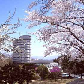 Primary image 1 垂直联盟酒店, 南 酒店