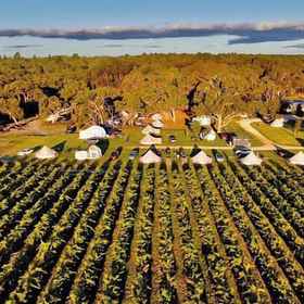 Primary image 1 Coonawarra Bush Holiday Park, Wattle Range Hotels