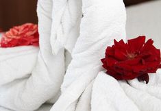 其他 7 Fatih Apart Hotel