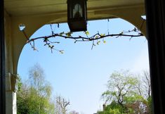 Others 5 Glyndwr Vineyard