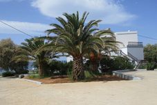 其他 Kosta's House