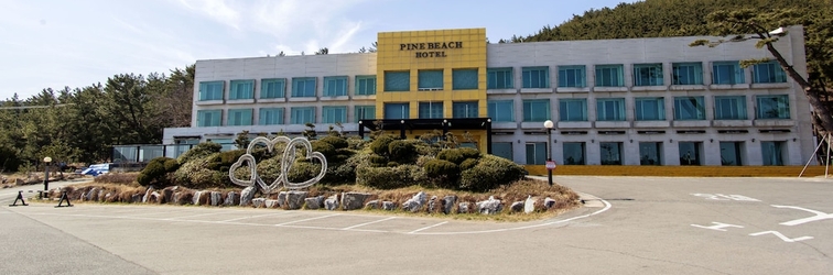 อื่นๆ Pinebeach Hotel Pohang