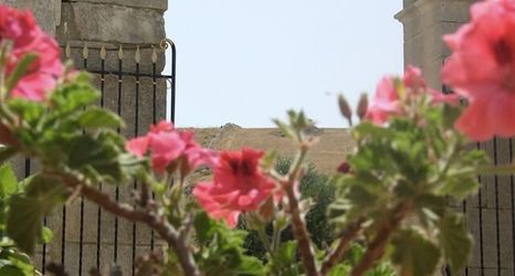 其他 2 Antica Cascina Resort