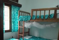 其他 Sunbird Backpackers