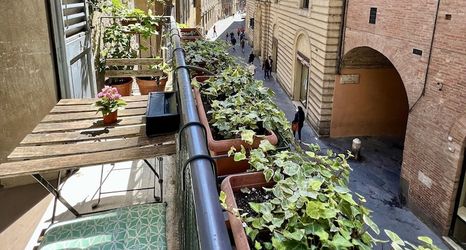 Others 2 Piccolo Hotel Etruria