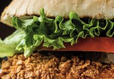 Lainnya 6 Demircioğlu Park Hotel