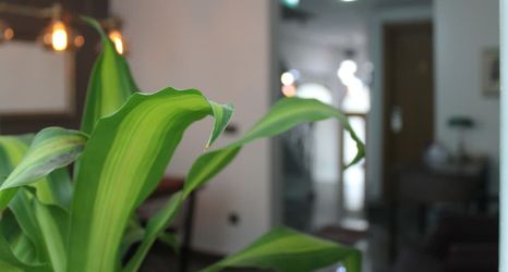 기타 2 Xenia Hotel