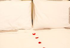 อื่นๆ 4 Riad El Gnaouia