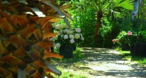 Others 2 Alfa Apart Otel