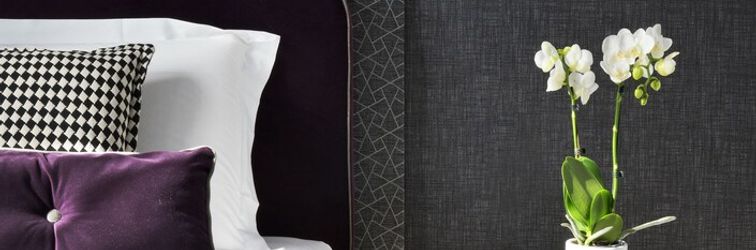 其他 Conti Guest House