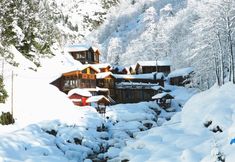 その他 6 Ayder Elizan Hotel