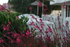 Lainnya Cicek Apart Hotel