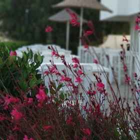 Primary image 1 Cicek Apart Hotel, Hotel İzmir