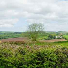Primary image1威里弗萊爾飯店,Deviock飯店
