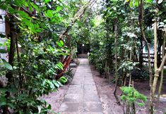 Others 3 Pousada Coqueiro Do Caita