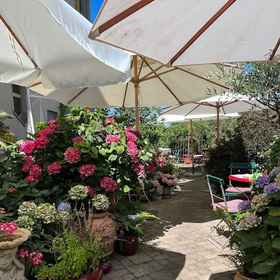 Primary image 1 Hotel Mozart Rorschach, Berg SG Hotels