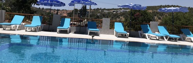 其他 St. Nicholas Pension