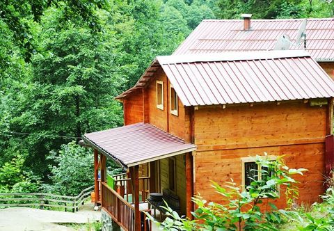 Lain-lain Ayder Bulut Dag Evi