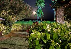 其他 6 Pousada San Giovanni