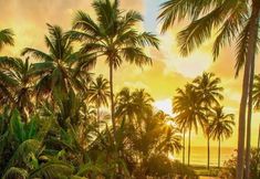 其他 7 Pousada San Giovanni